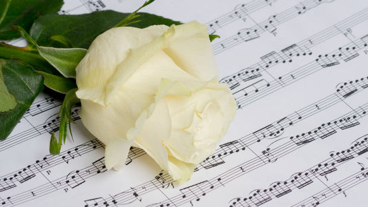 Best Songs to Play At Funeral And Memorial
