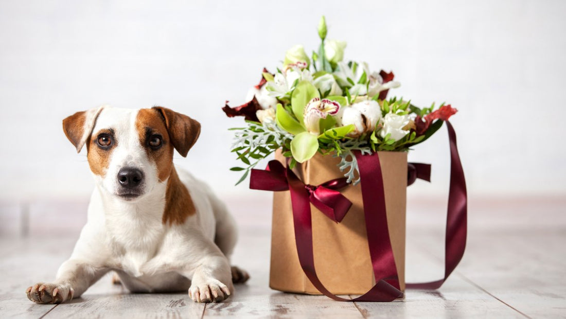 10 Meaningful Pet Memorial Gifts