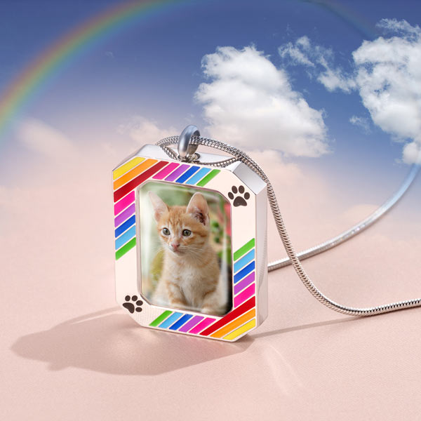 Rainbow Bridge Dog Tag Necklace