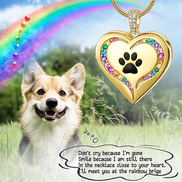 Rainbow Bridge Dog Paw Locket Necklace
