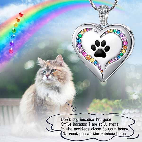 Rainbow Paw Print Charm - Stainless Steel Dog Person Jewelry, 13mm By The Slippery Pearl