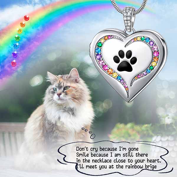 Rainbow Bridge Dog Paw Locket Necklace