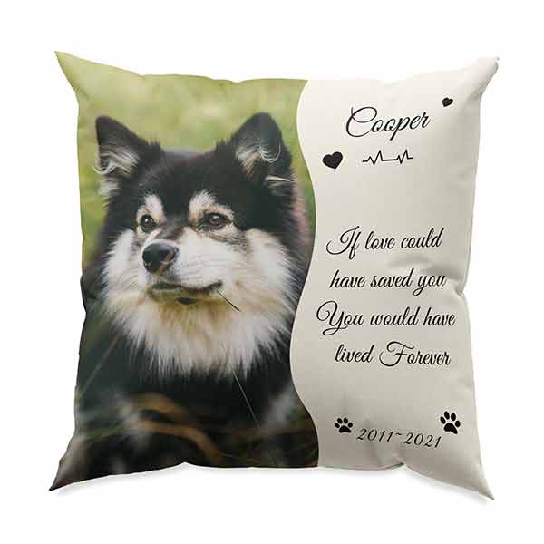 Create Your Own Custom Pet Pillow