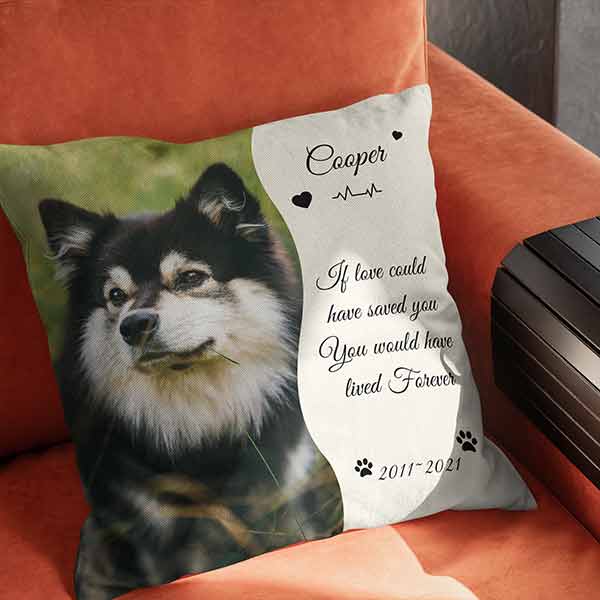 Create Your Own Custom Pet Pillow