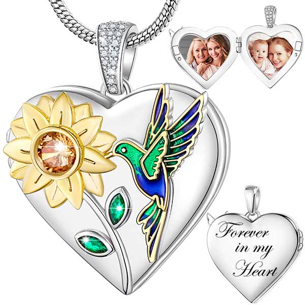 Fanery Sue Heart Locket Necklace | Holds 2 Photos | Stainless Steel With Zircon | Personalized Jewelry Gift