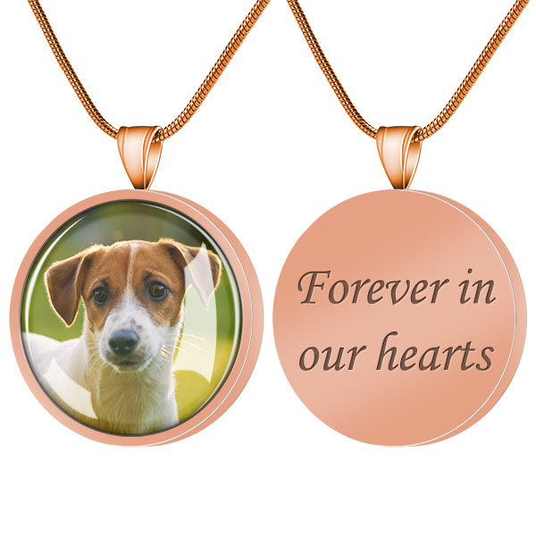 pet urn necklaces for ashes