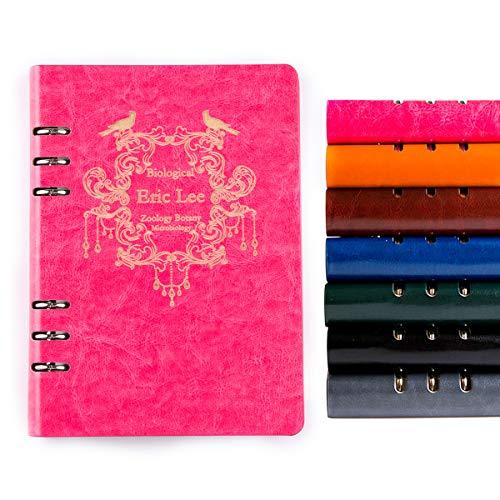 journaling notebooks