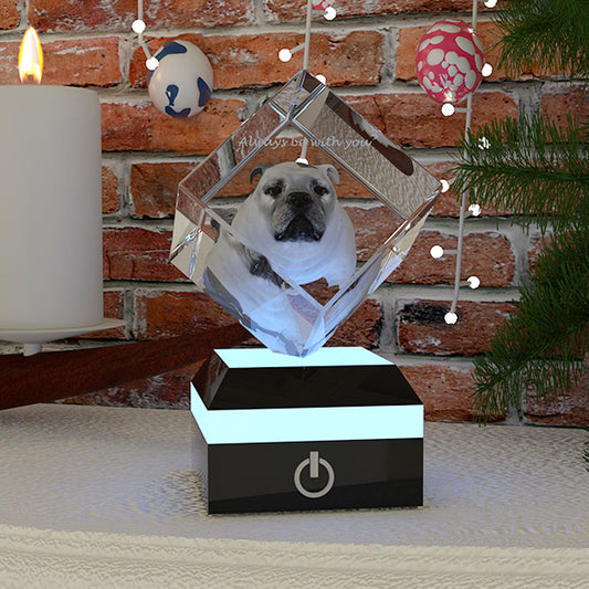 3d photo crystal gift
