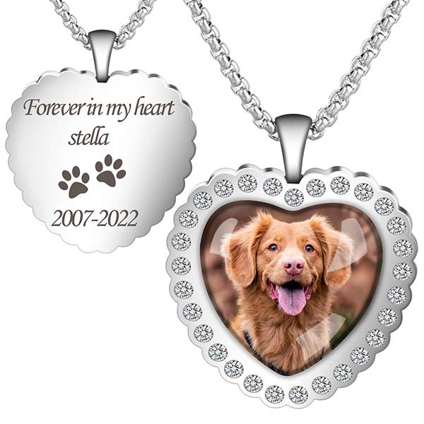 Picture Engraved Necklace for Pet